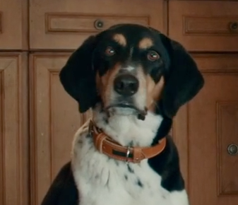 Screenshot 2026-03-12 at 9.19.42 AM.png