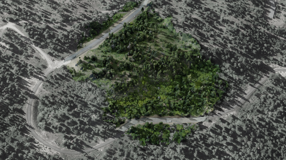 roslyn9.png