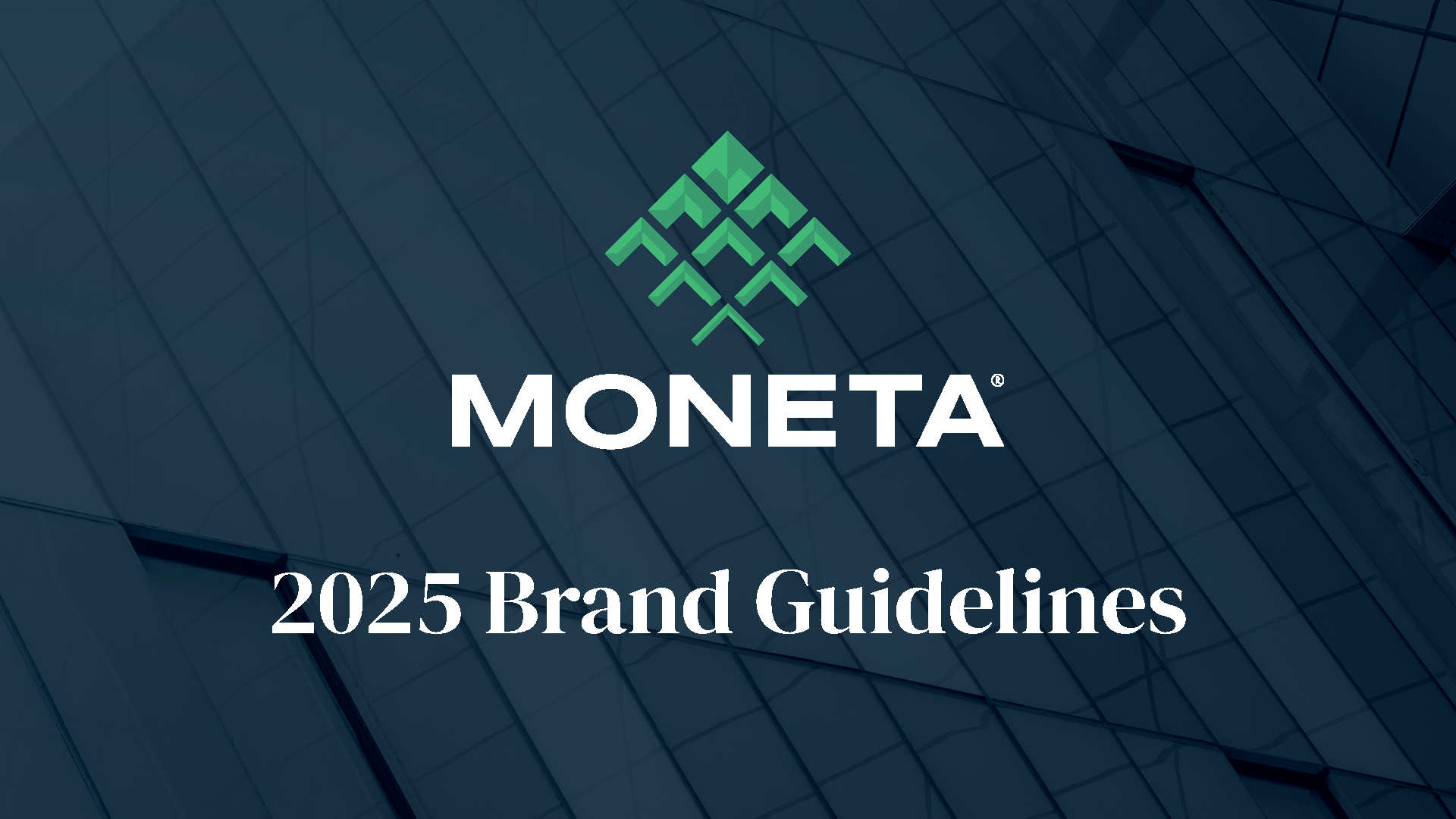 Moneta 2025 Brand Guidelines_Page_1.png