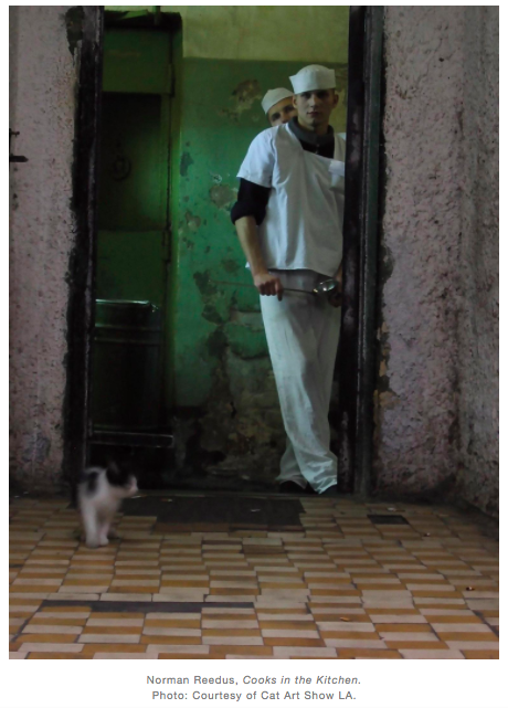 Cat Art Show 2016 Press Round-Up