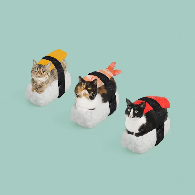 Hugo Martinez (“Princess Cheeto”), Rollin with my Homies , 2018, digital photographic print 1/10, courtesy of the artist and Cat Art Show.)