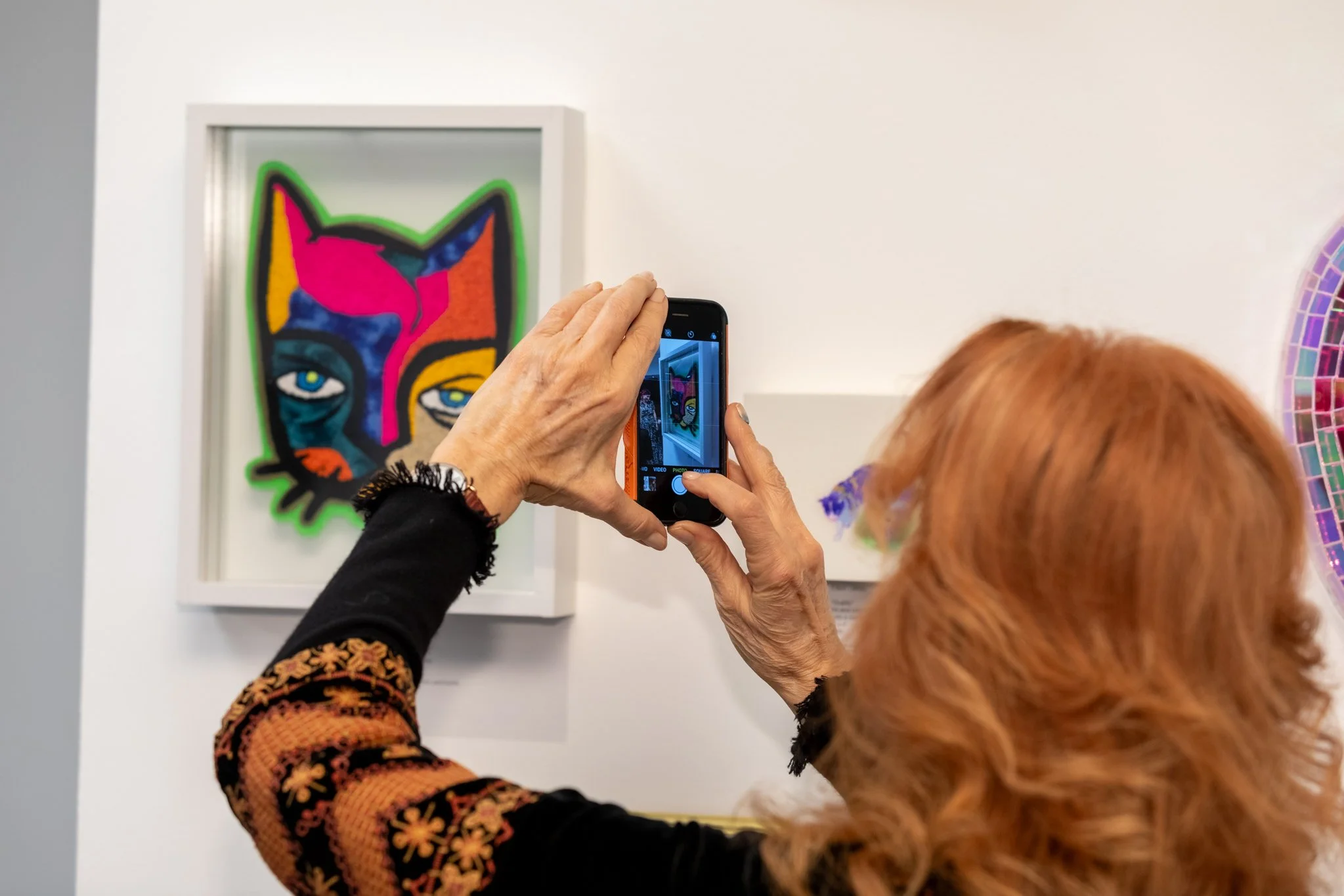 240118-WEB-catshow-239.jpg