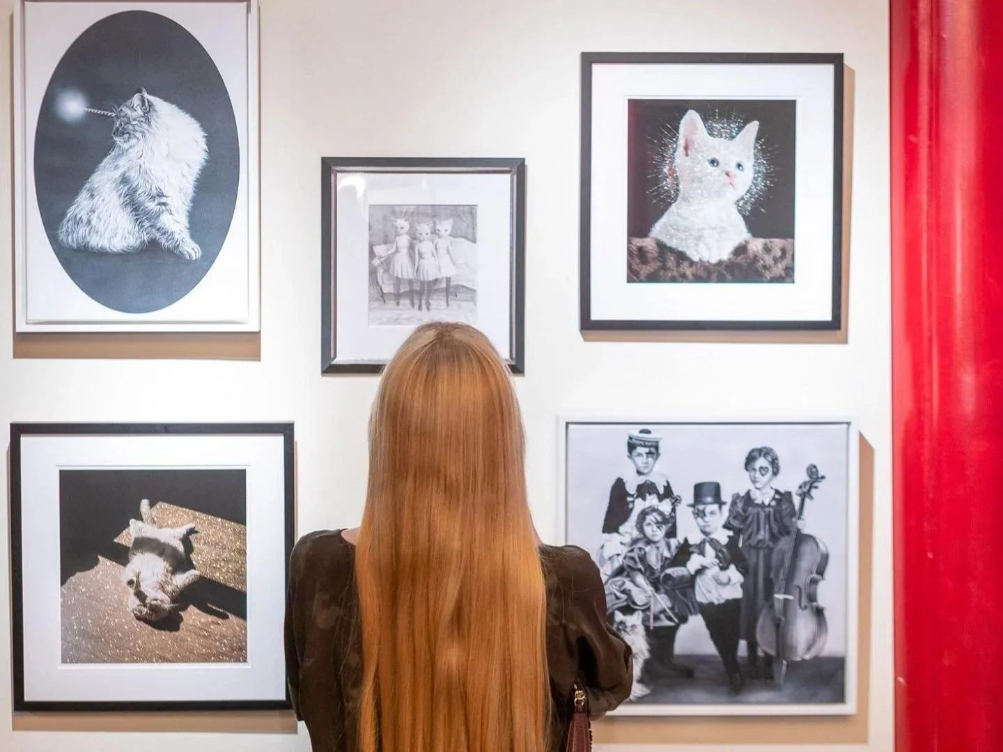 Cat+Art+Show+5.jpg