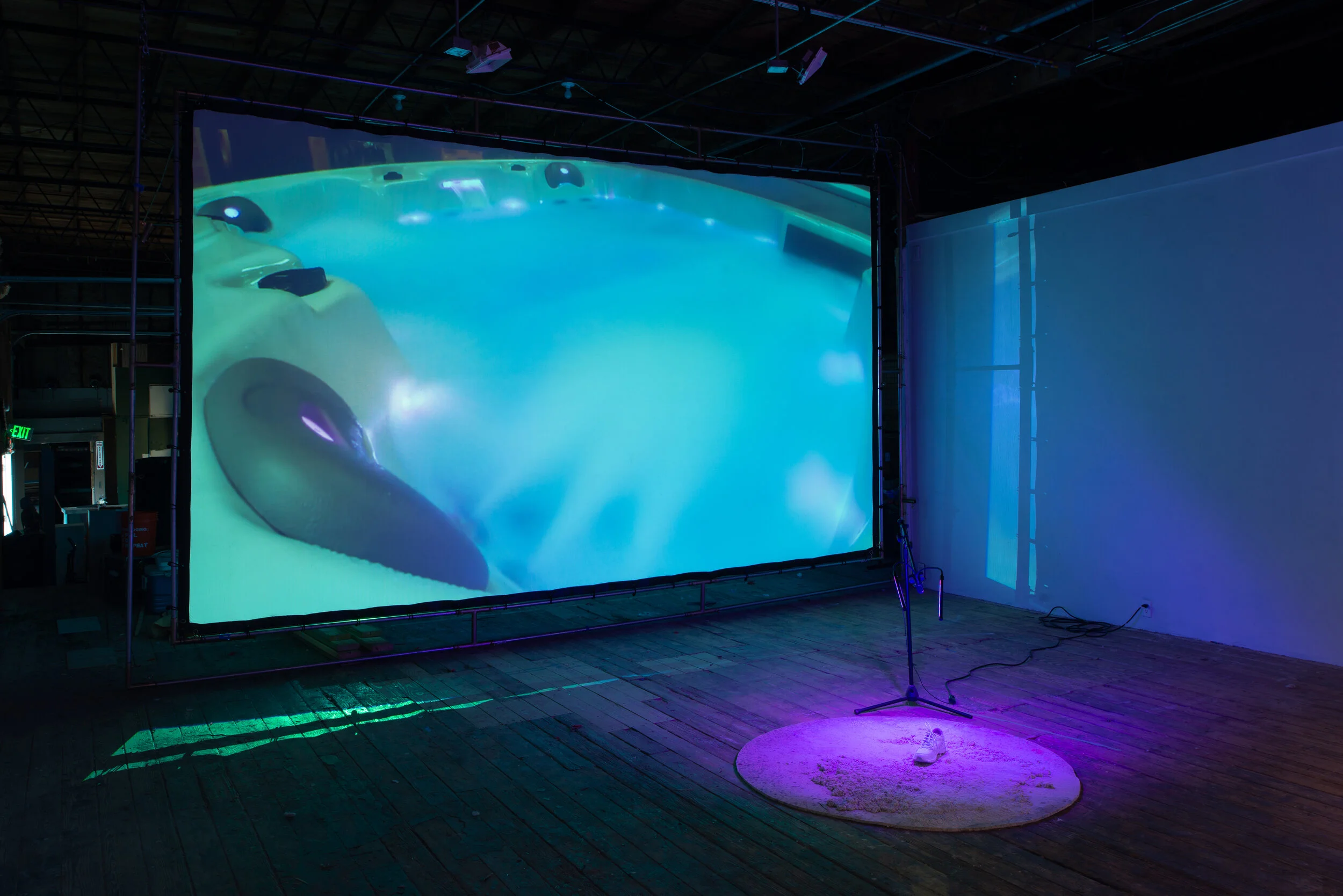 Interview with Liz Rodda — MASS Gallery