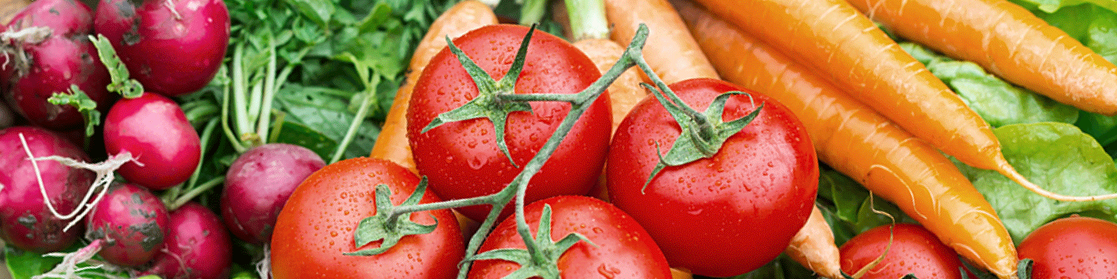 Veg-Banner.png
