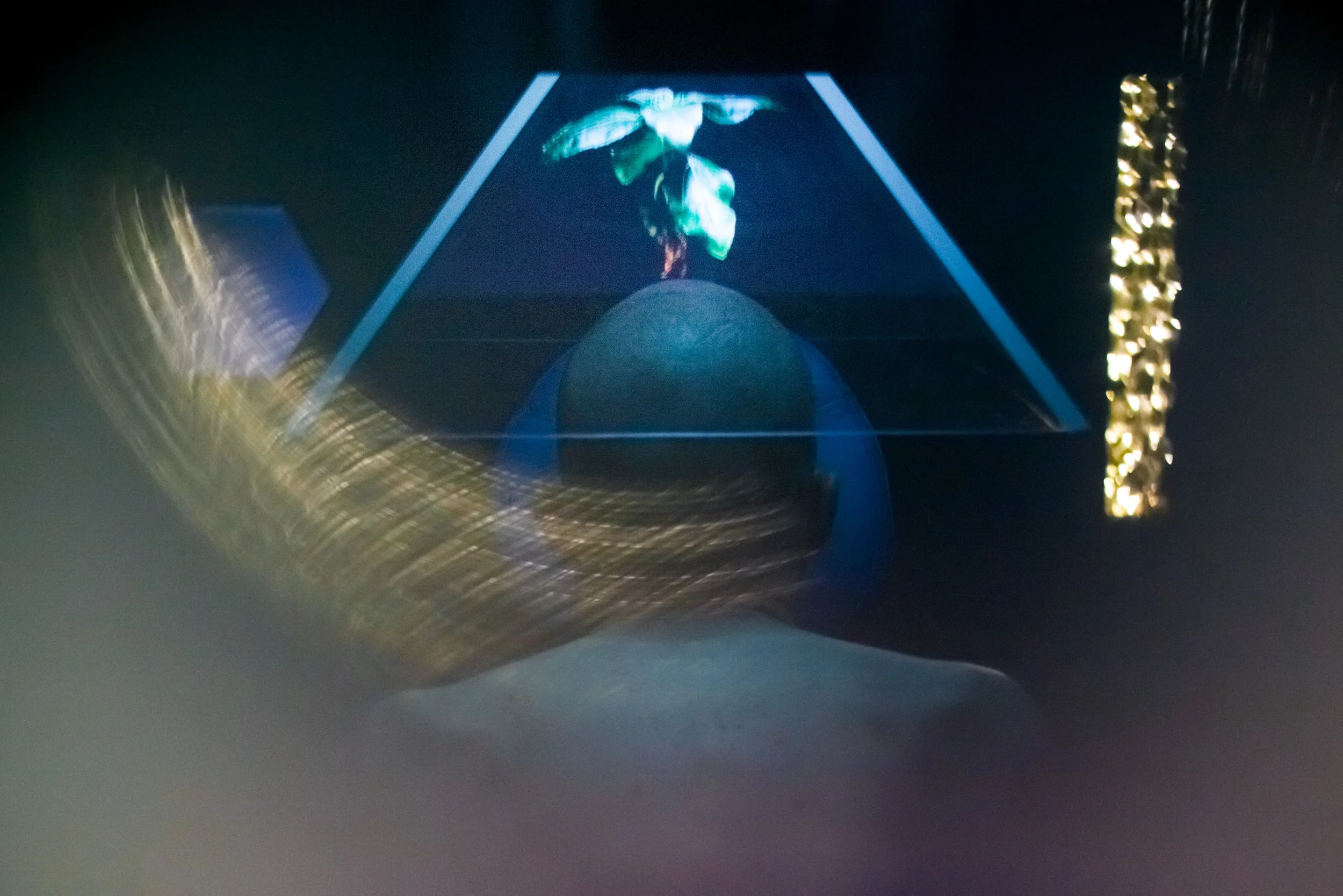 Botanical Brain Surgery 2 at Drone Dancing 2018 by Johannes Erb.jpg