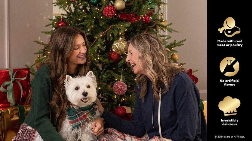 Cesar Dog Food Christmas Photoshoot