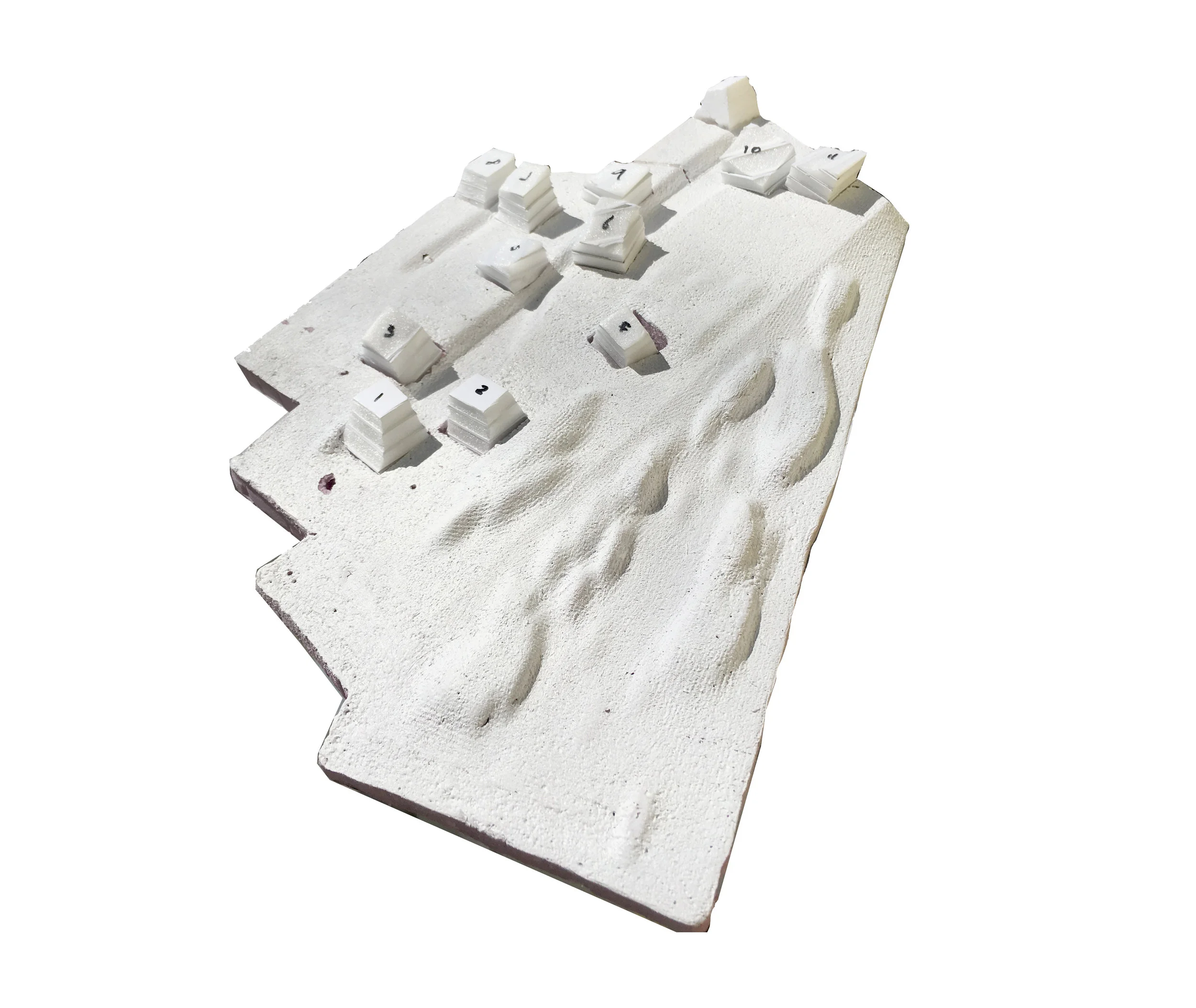  Study model showing topography development 