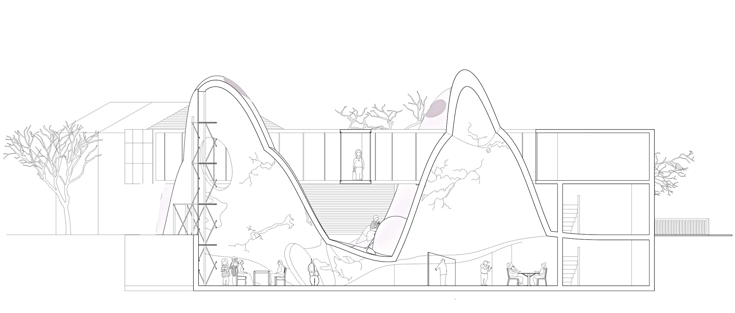  Section 