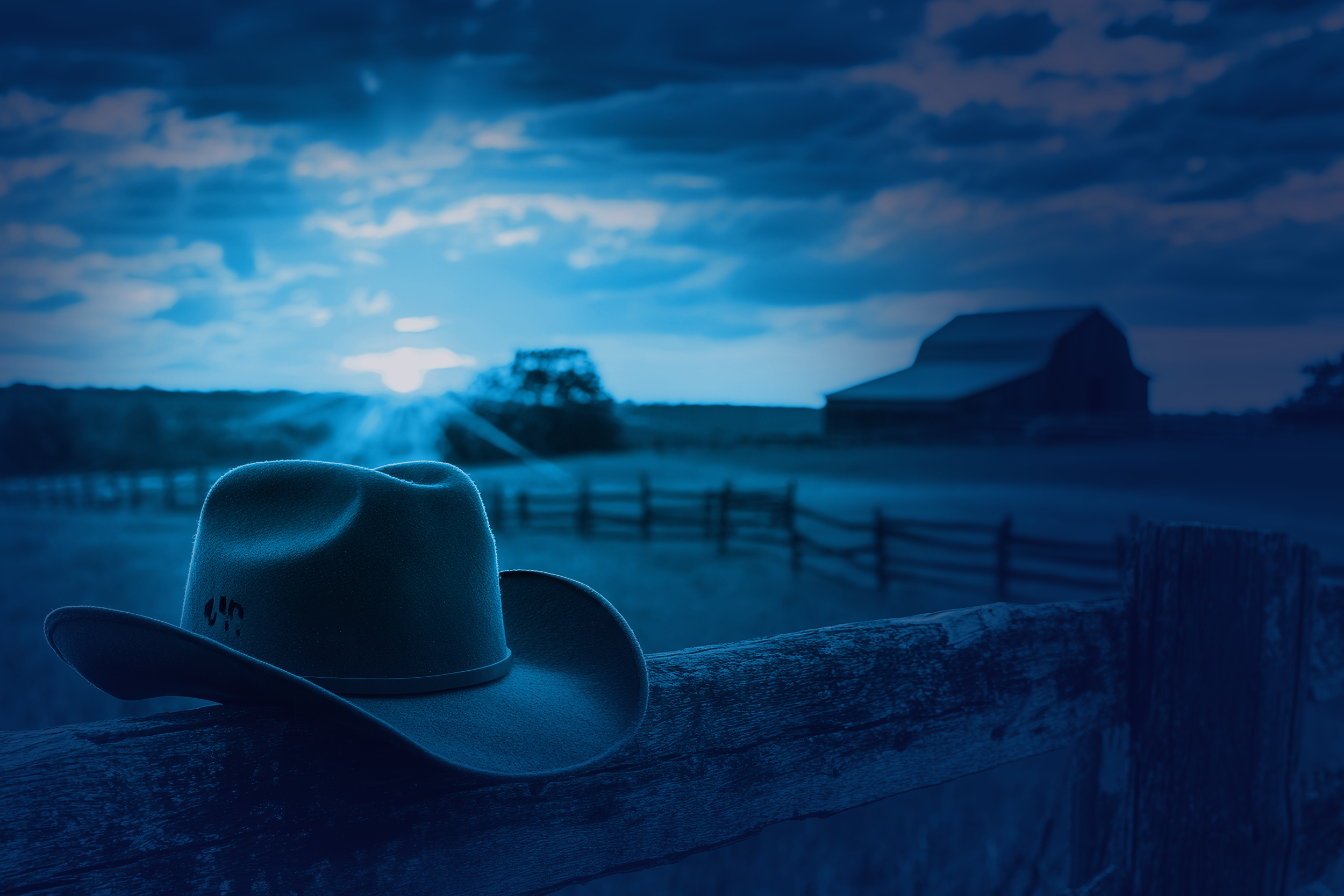 Cowboyhat-Fence-Blue.png