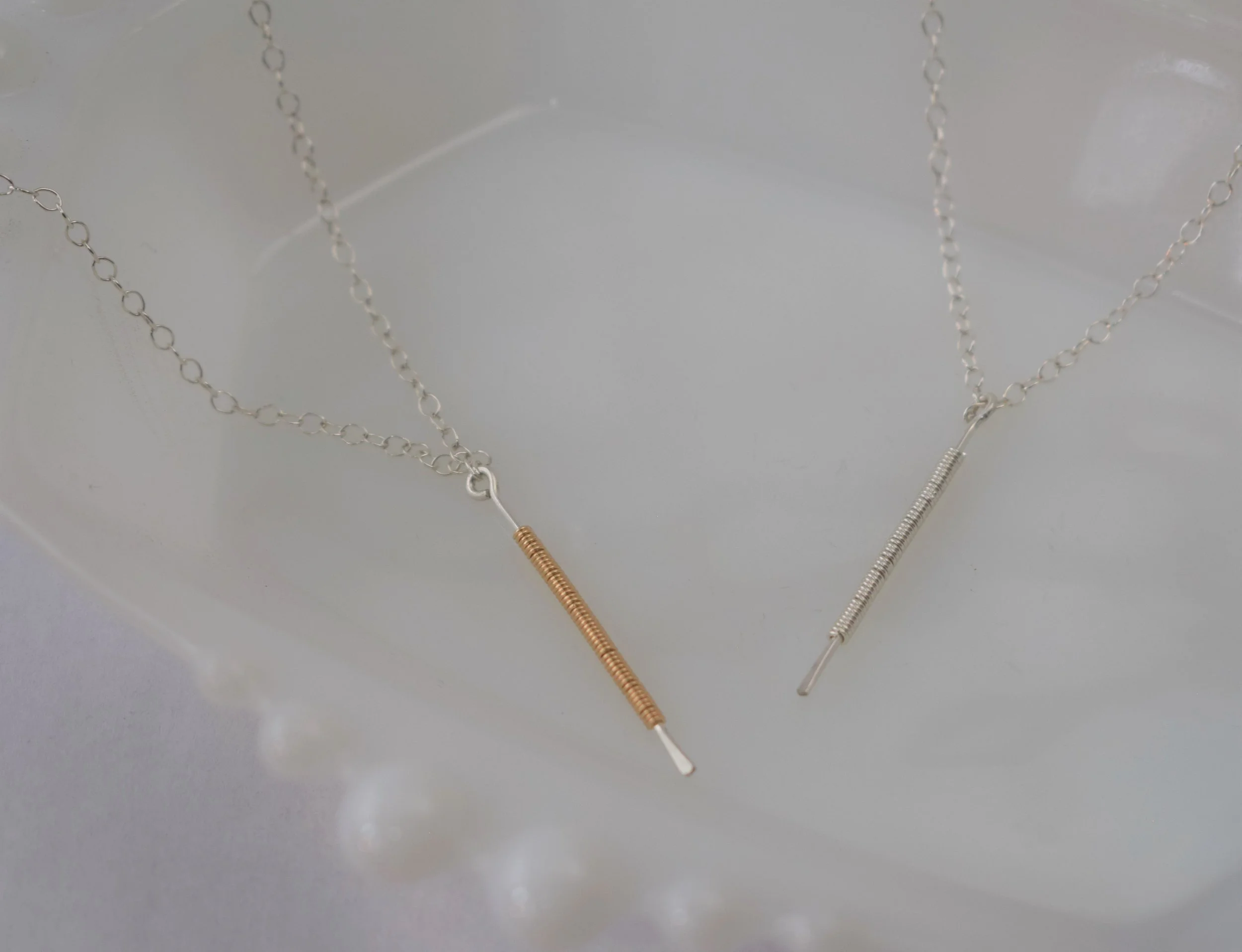 protege duo3 (2).JPG