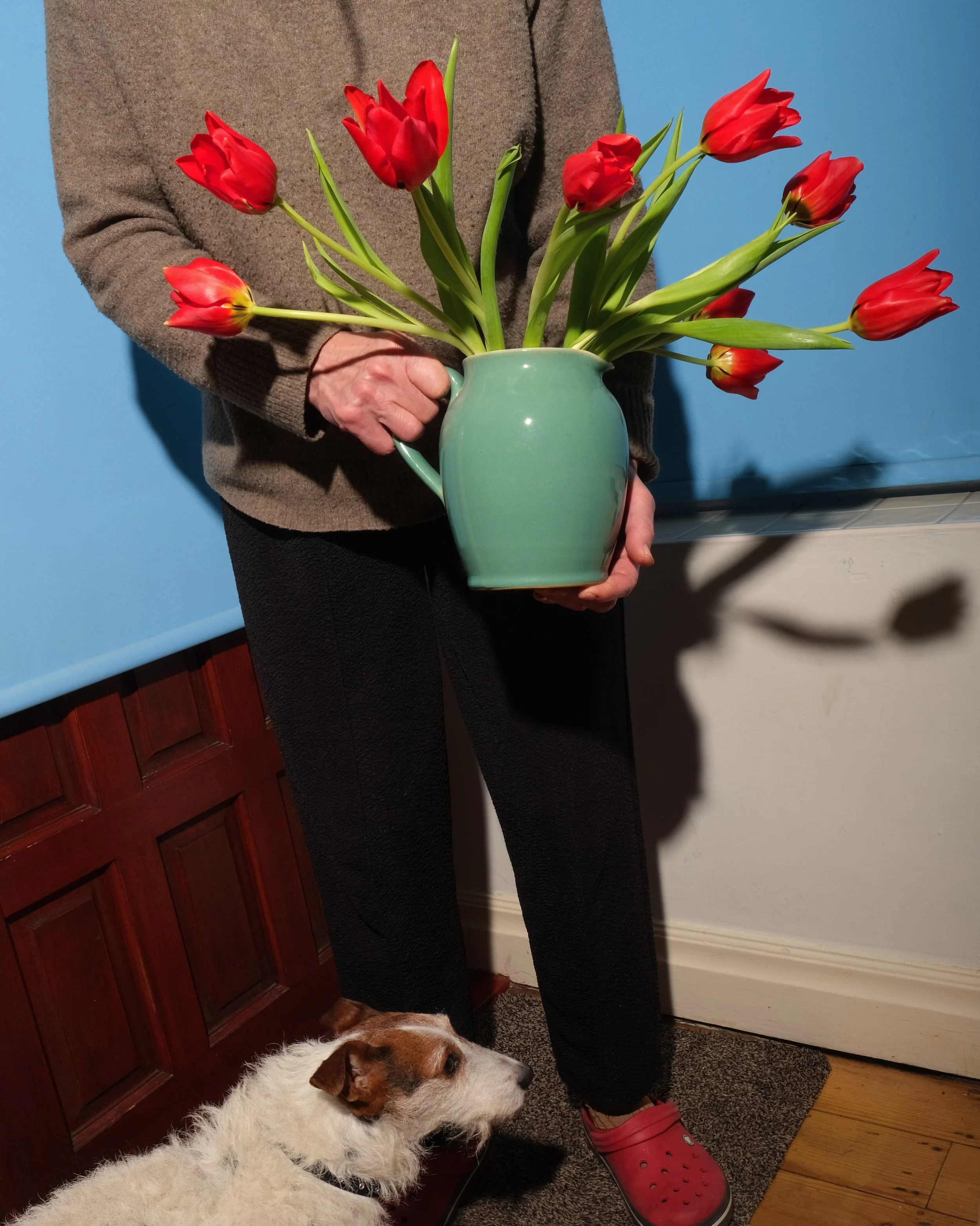 tulips.JPG