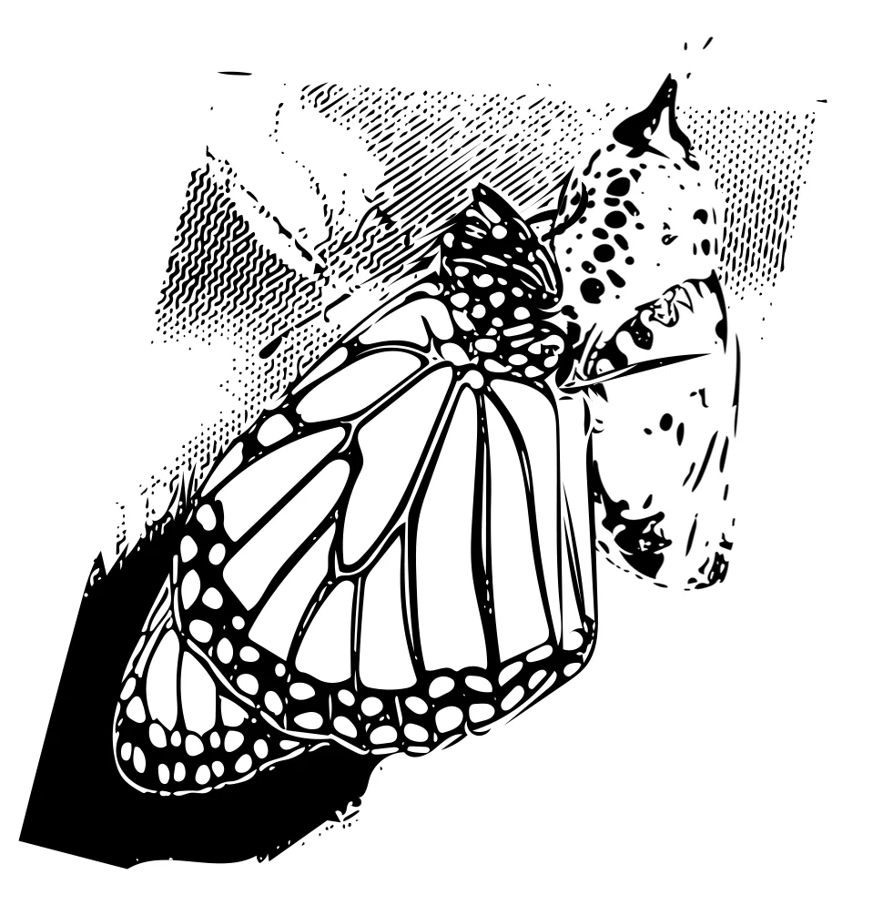 Design Morph.jpg