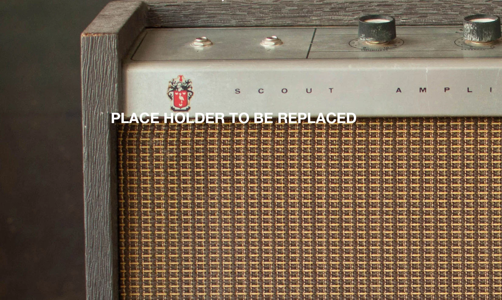 amp_hero_test.jpg