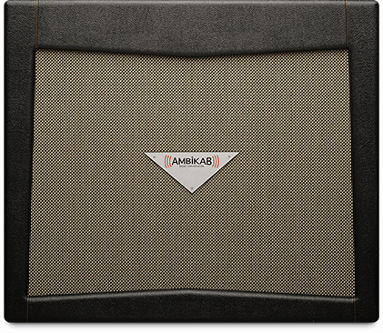 ambikab.png