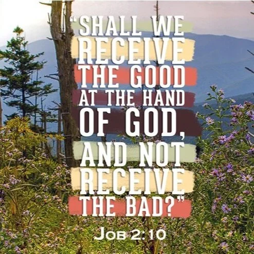 "Unmatched Righteousness" - Job 1:1, 2:1-10