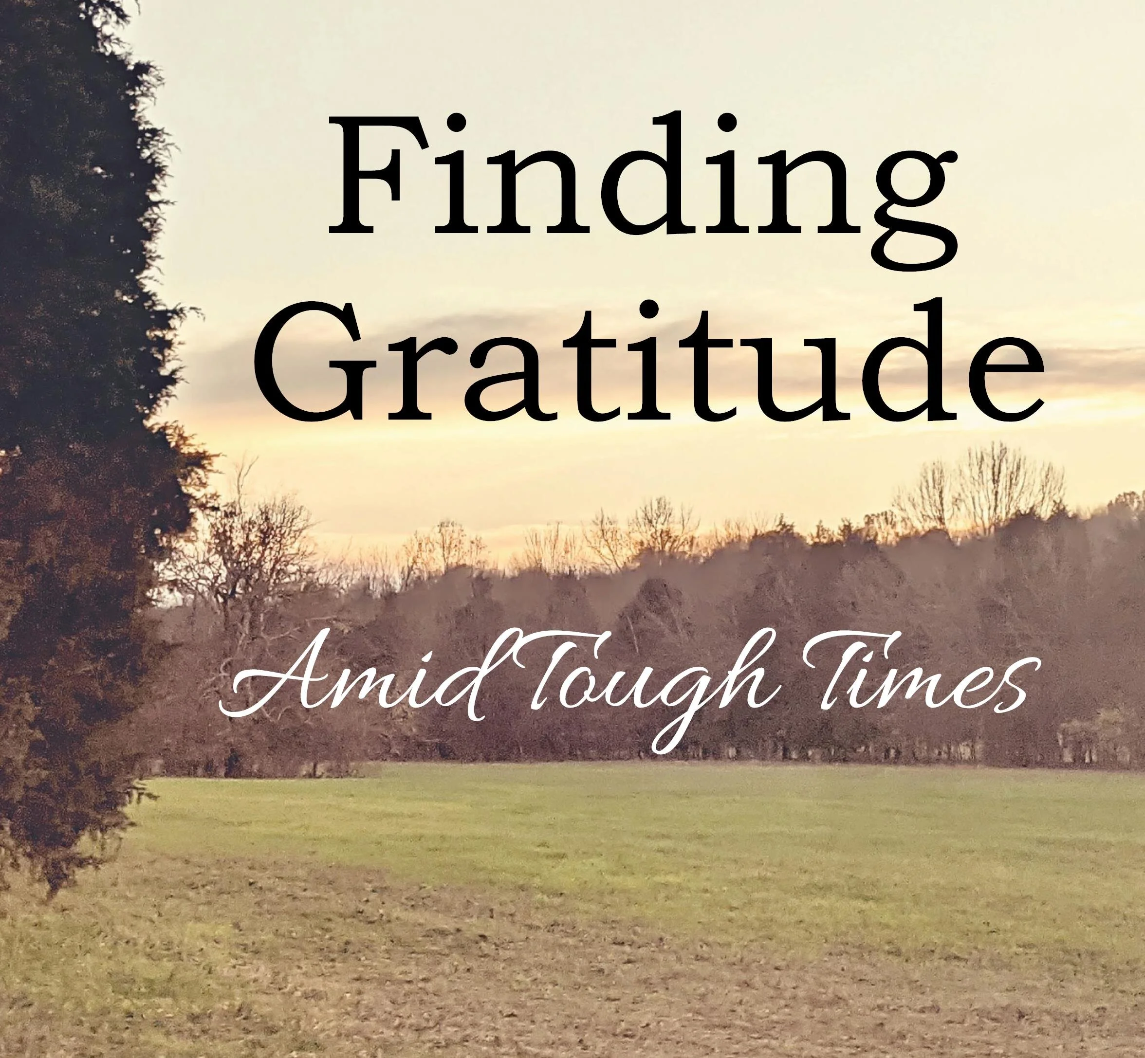 "Gratitude" - Job 37