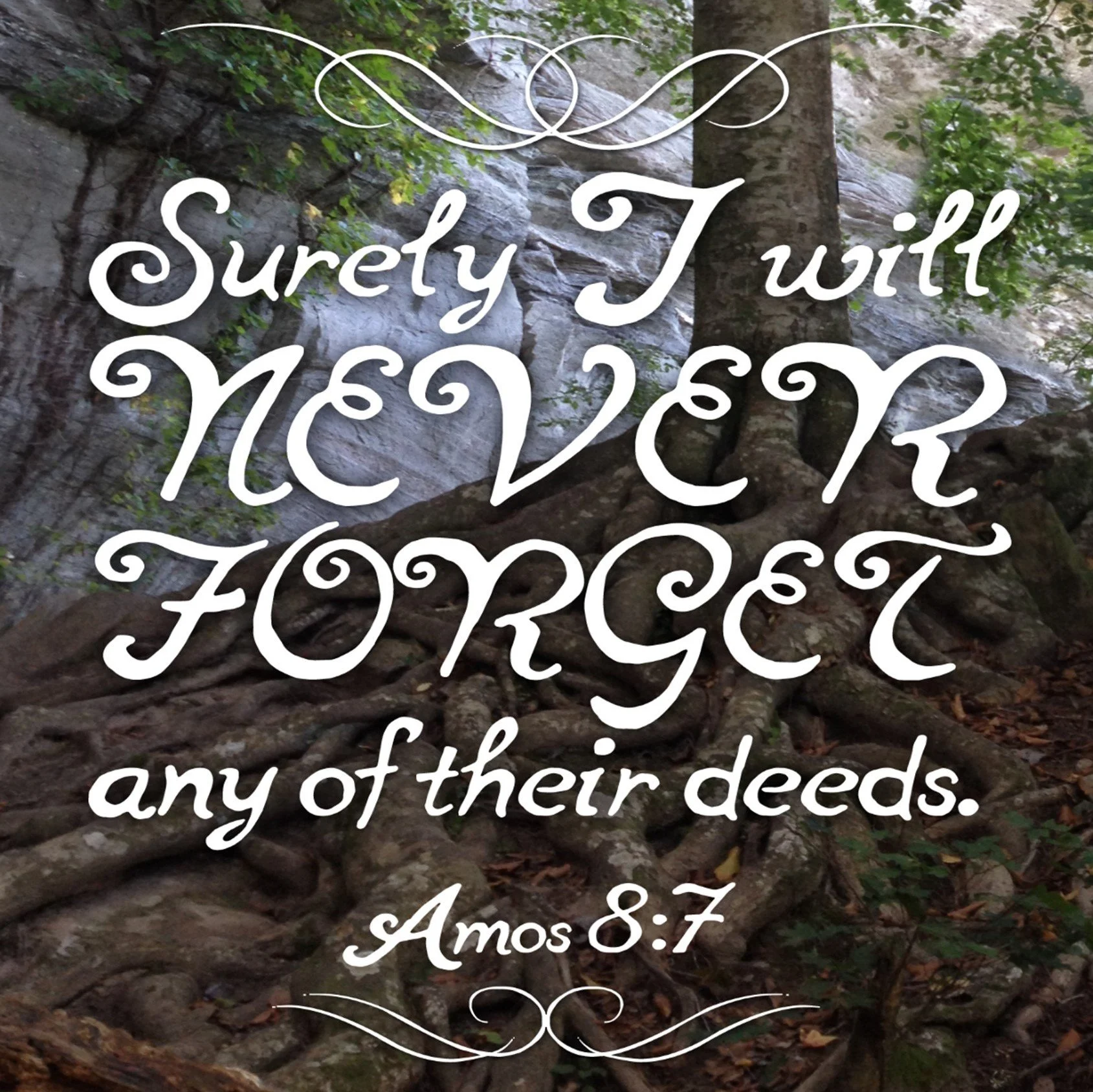 Rochester, MN UCC - "Whose Side?" - Amos 8:1-12