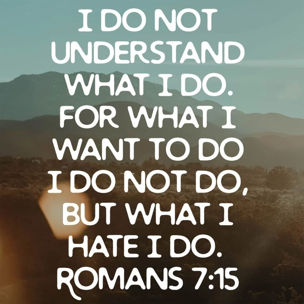 Rochester, MN UCC - "The Need for Grace" - Romans 7:15-25a