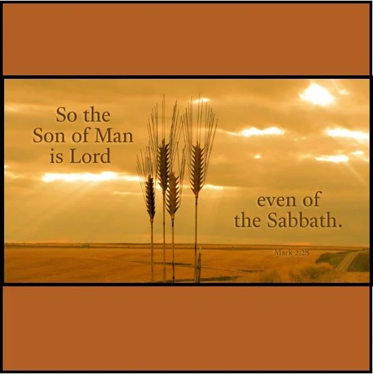 Rochester, MN UCC - "The Sabbath Made for People and Not People for the Sabbath" - Mark 2:23 - 3:6