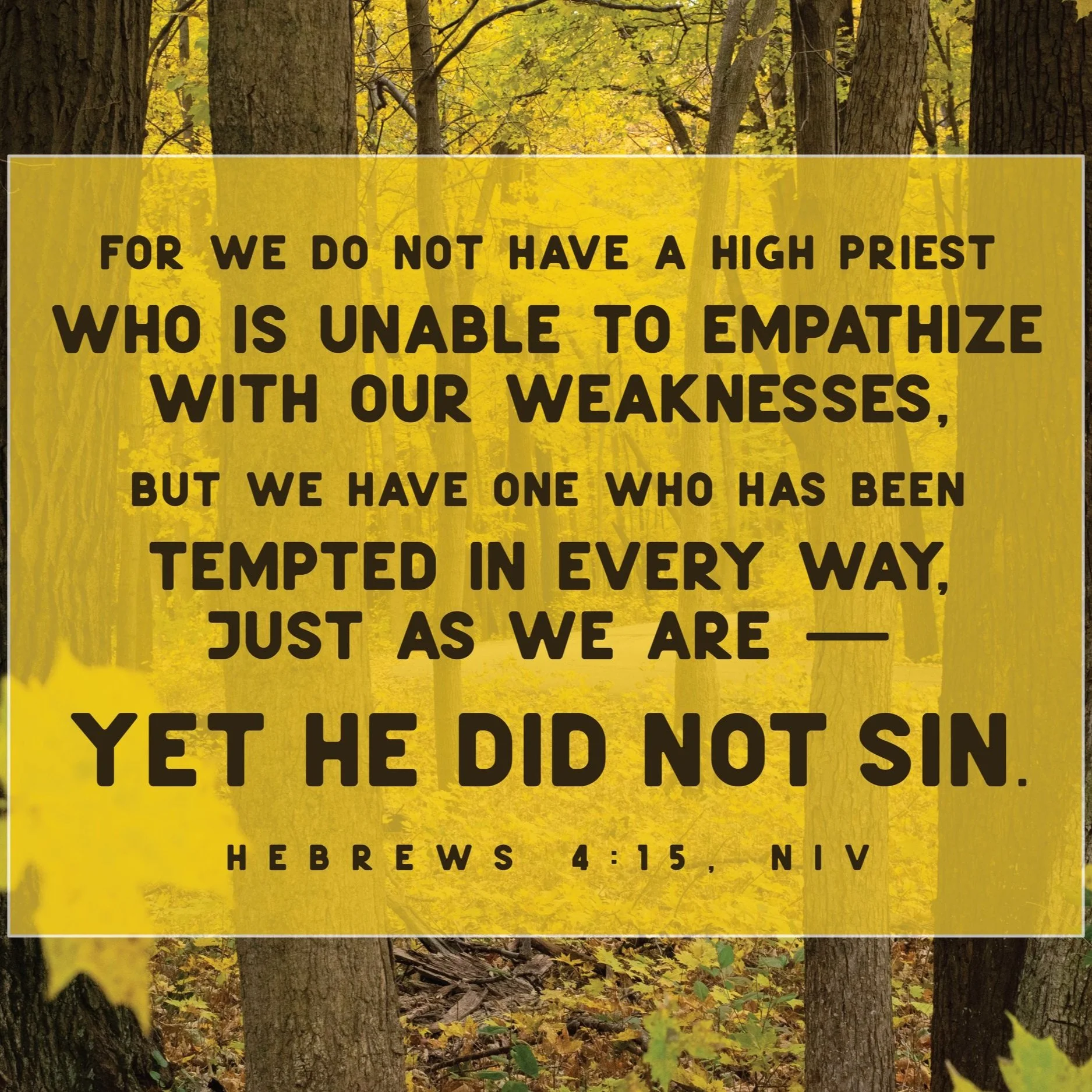 Rochester, MN UCC - "God Who Sympathizes with Our Weakness" - Hebrews 4:12-16