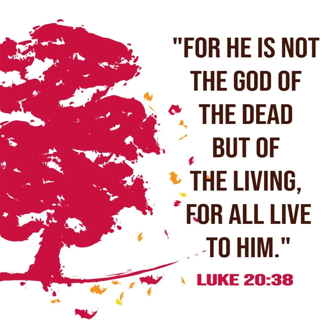 Rochester, MN UCC - "To Him They Are All Alive" - Luke 20:27-38 