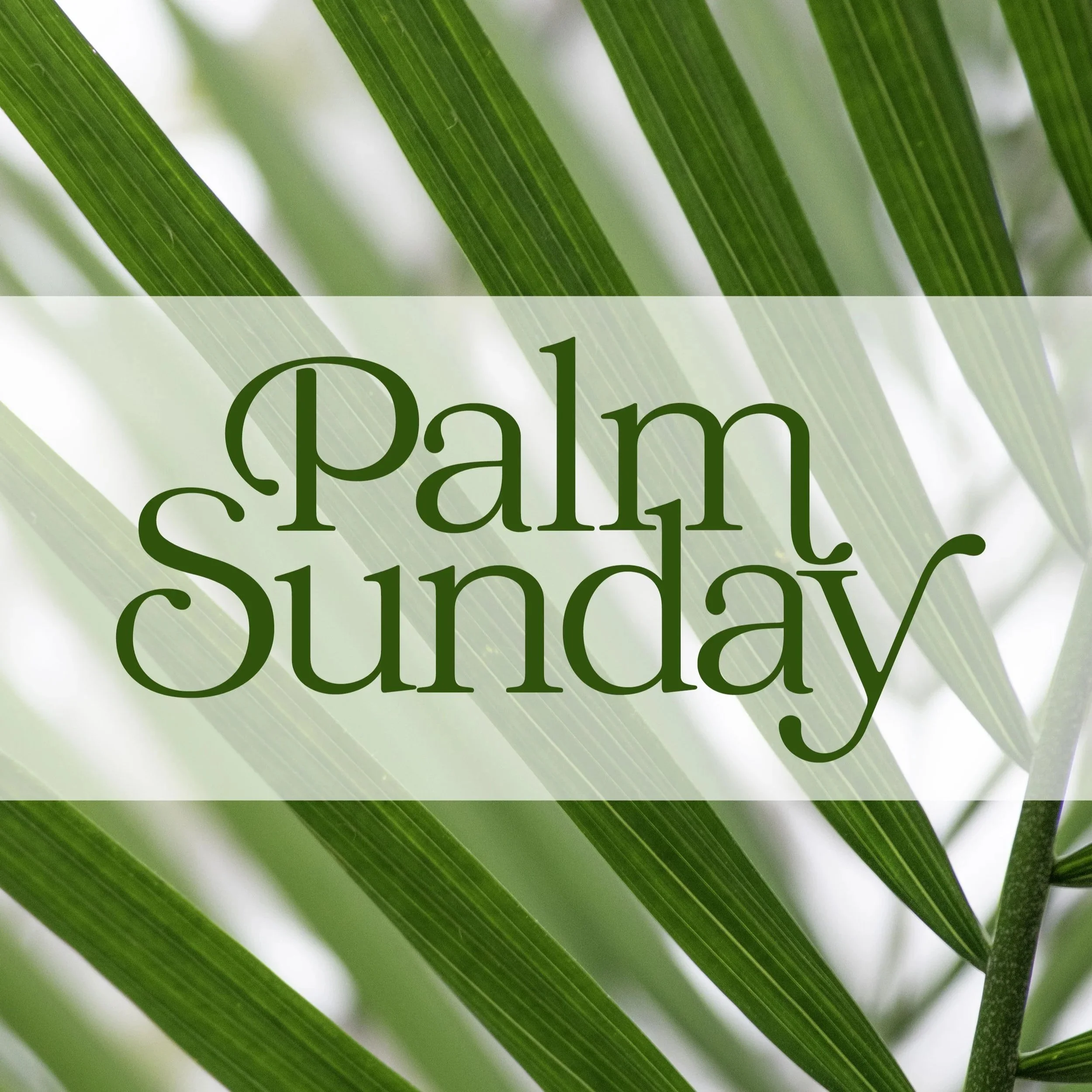 Rochester, MN UCC - "Cry Out with Joy" - Matthew 21:1-11