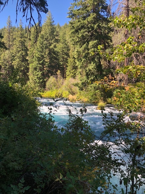 Metolius River.jpg