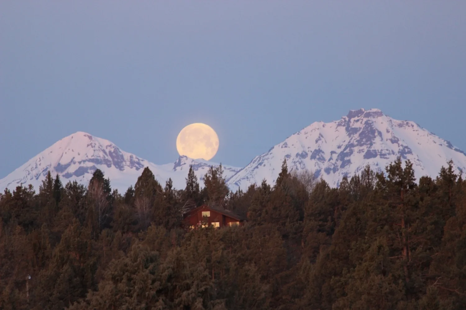 Moon setting in front yard in the morning light copy.jpg