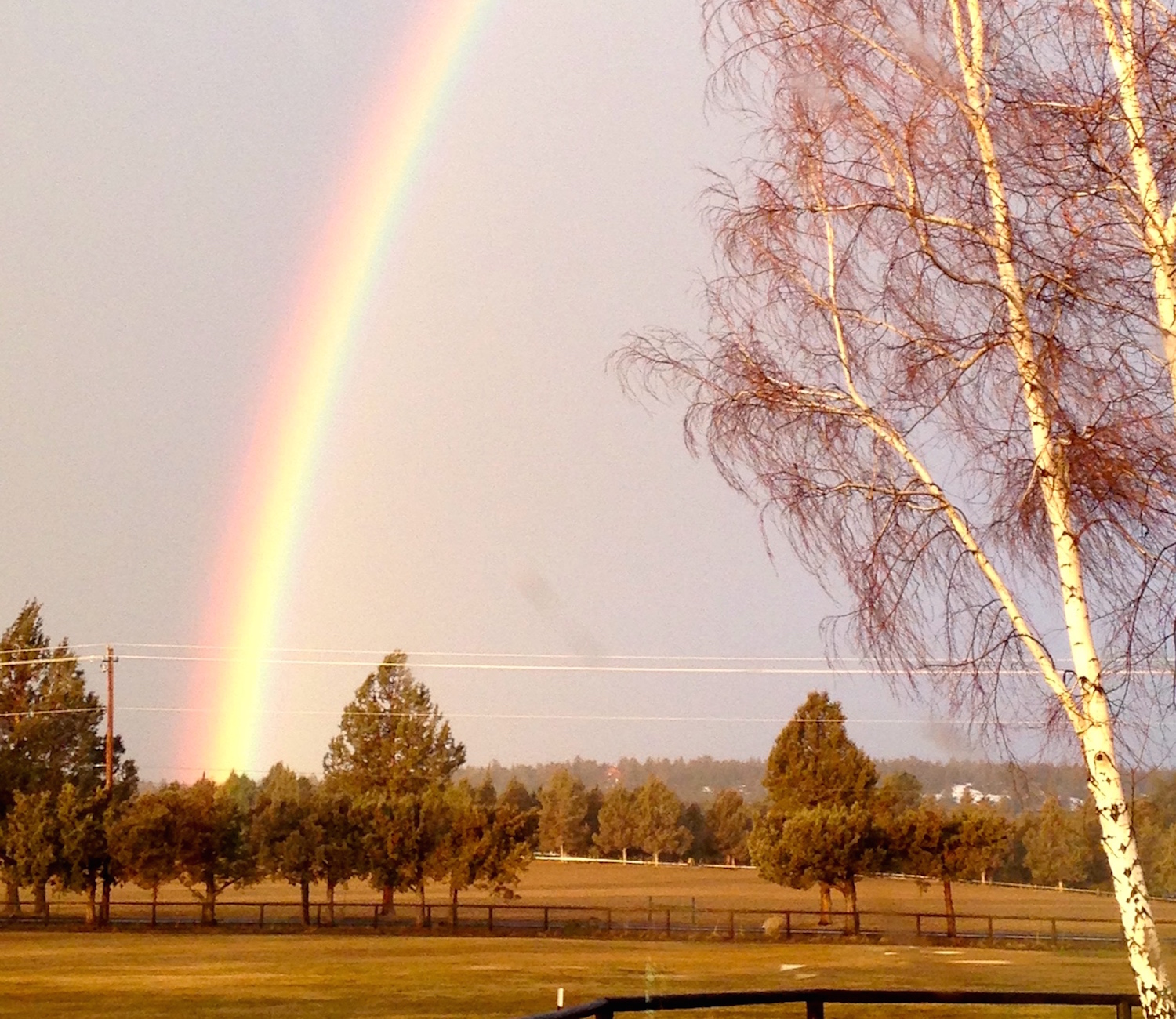 Front yard of Rocking CR Ranch copy.jpg