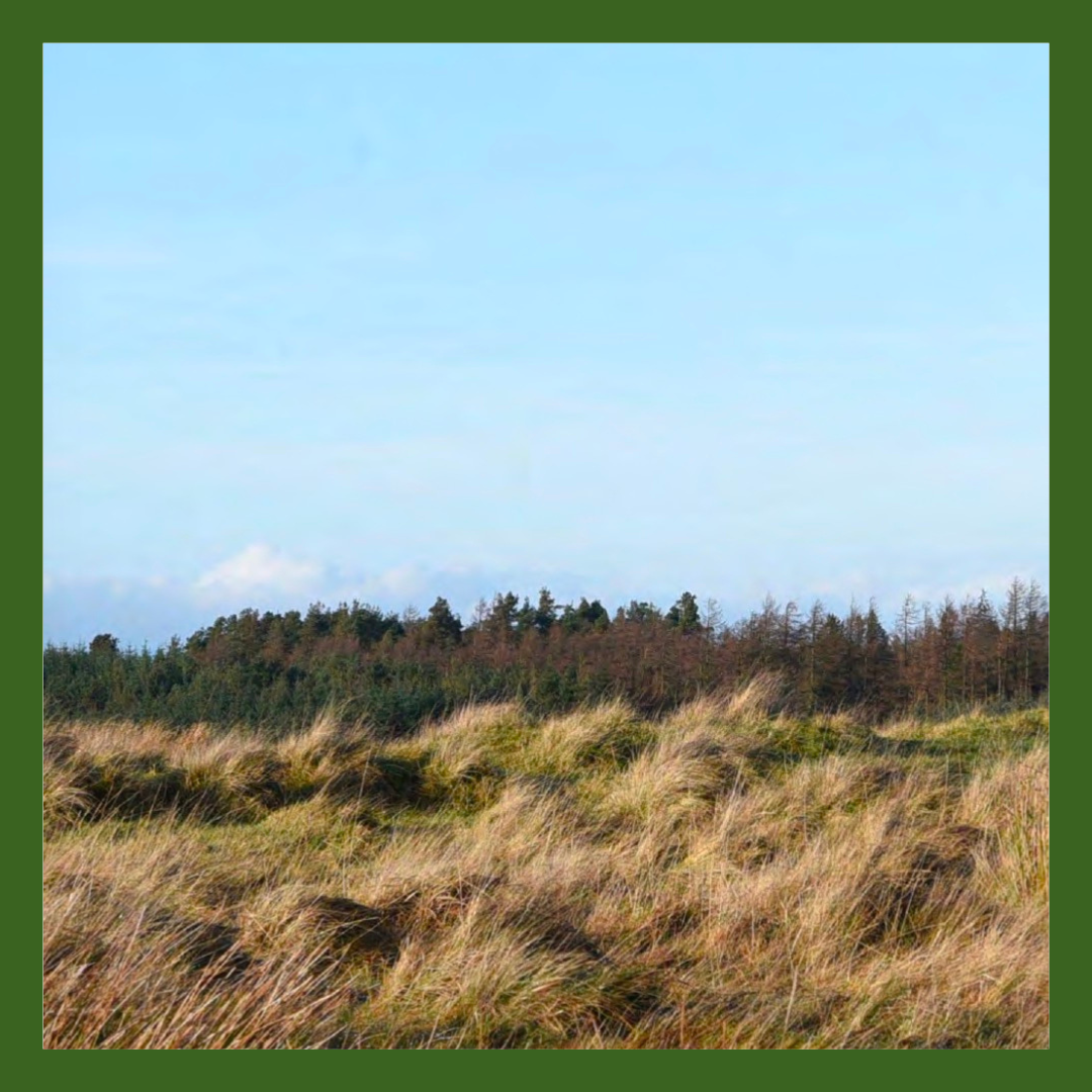 Our vision, the public benefit and opportunities for support