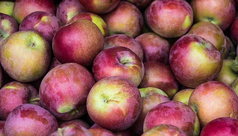 Apples — Judith Kennedy