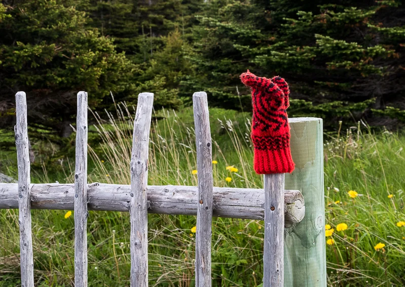 Red Mitten — Judith Kennedy