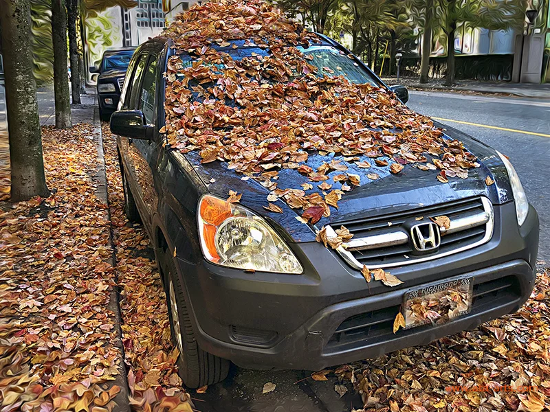 Autumn in the City — Ata Safar
