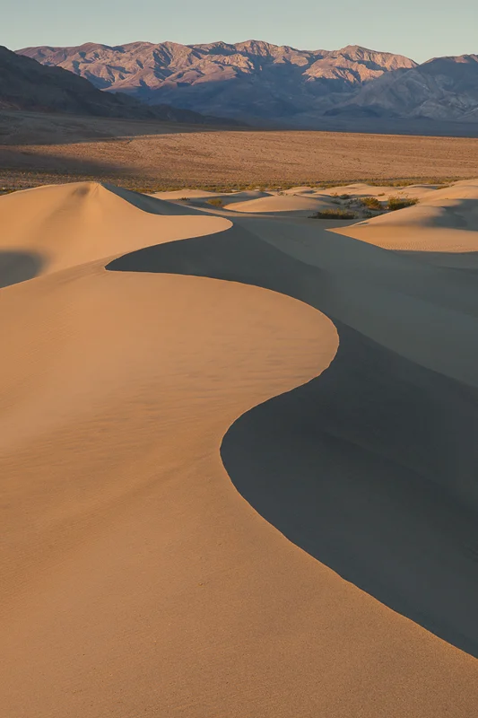 Dune Curves — Martin Ross