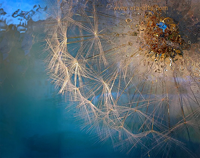 See Through Window Glass — Ata Safar