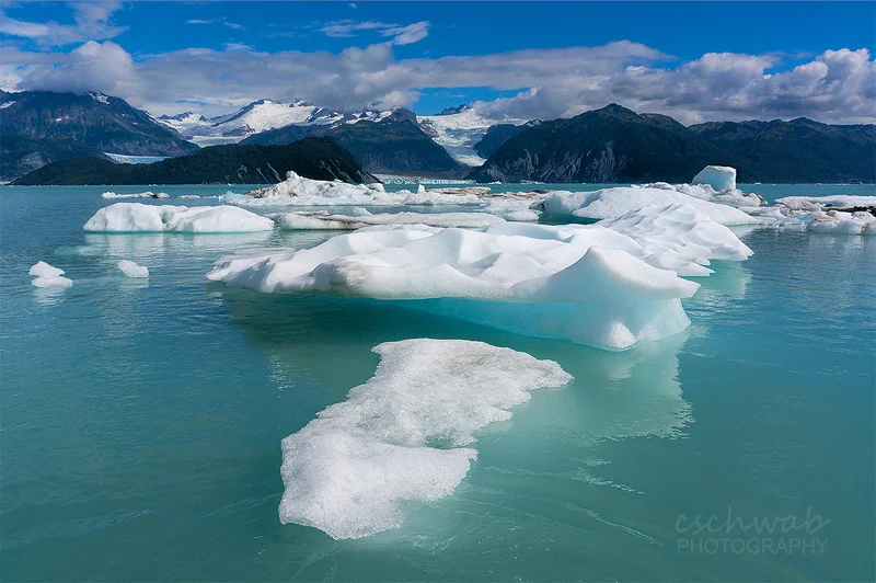 Alsek Lake Icebergs — Claudia Schwab