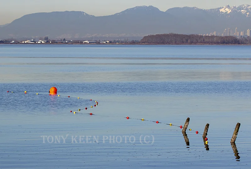 Vancouver from Crescent Beach — Tony Keen