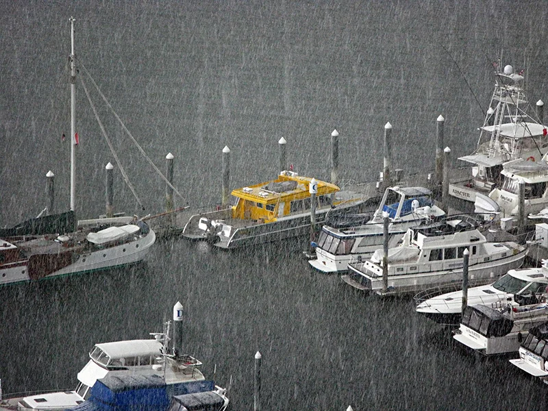 Harbour in the Storm — Ata Safar