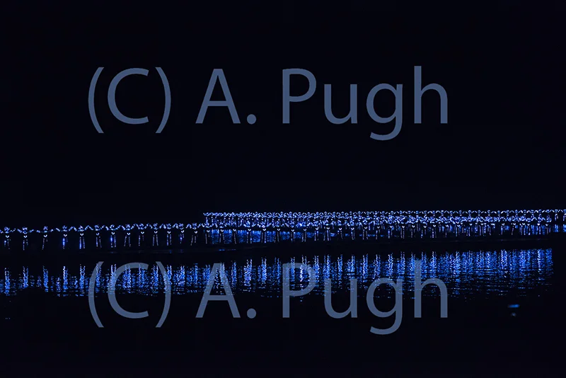 Blue — Andrew Pugh