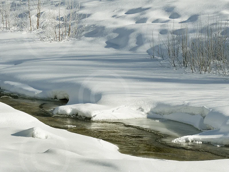 Julliet Creek — Wes Bergen