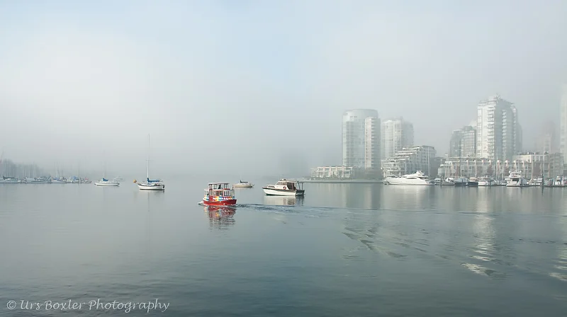 False Creek in Fog — Urs Boxler