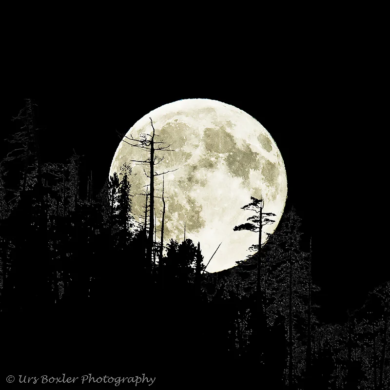 Full Moon Rising — Urs Boxler