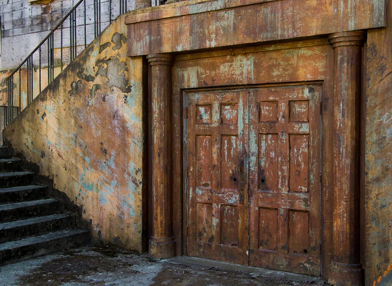 Temple Doors — Judith Kennedy