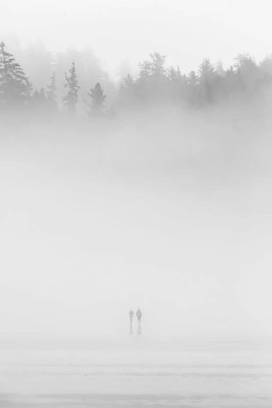 The Mist — Luke Han