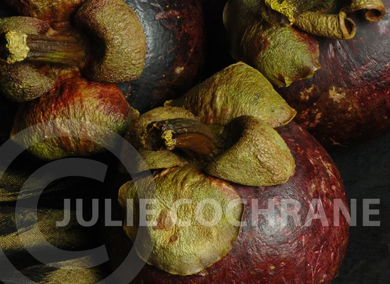 Mangosteen — Julie Cochrane