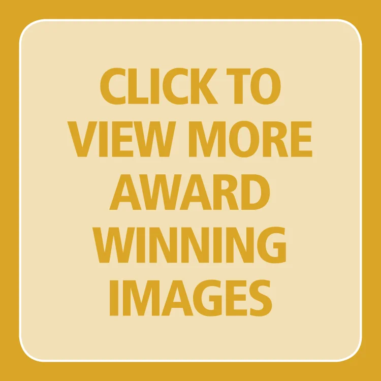 Click To View More Award Winning Images