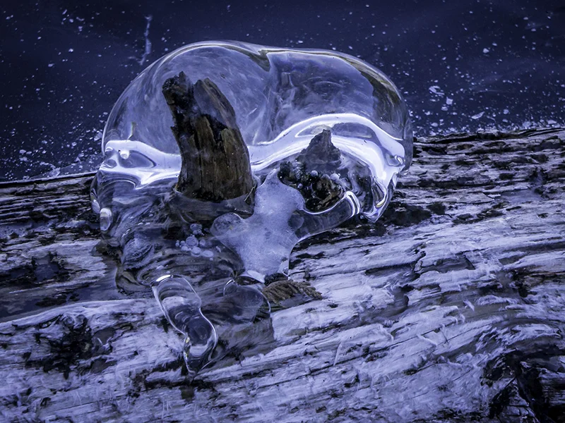 In Winters Grip — Claudia Schwab