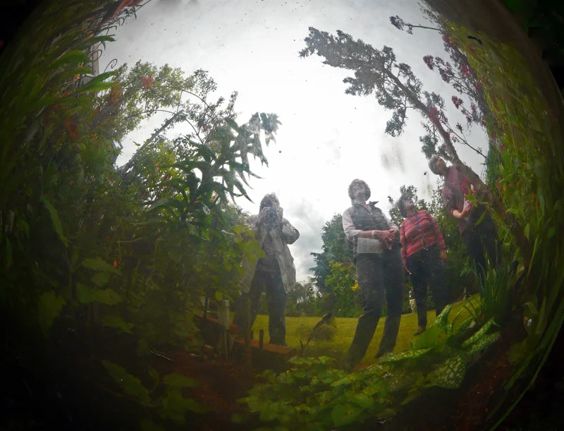 Garden Reflection in Glass Ball — Jane Hansell