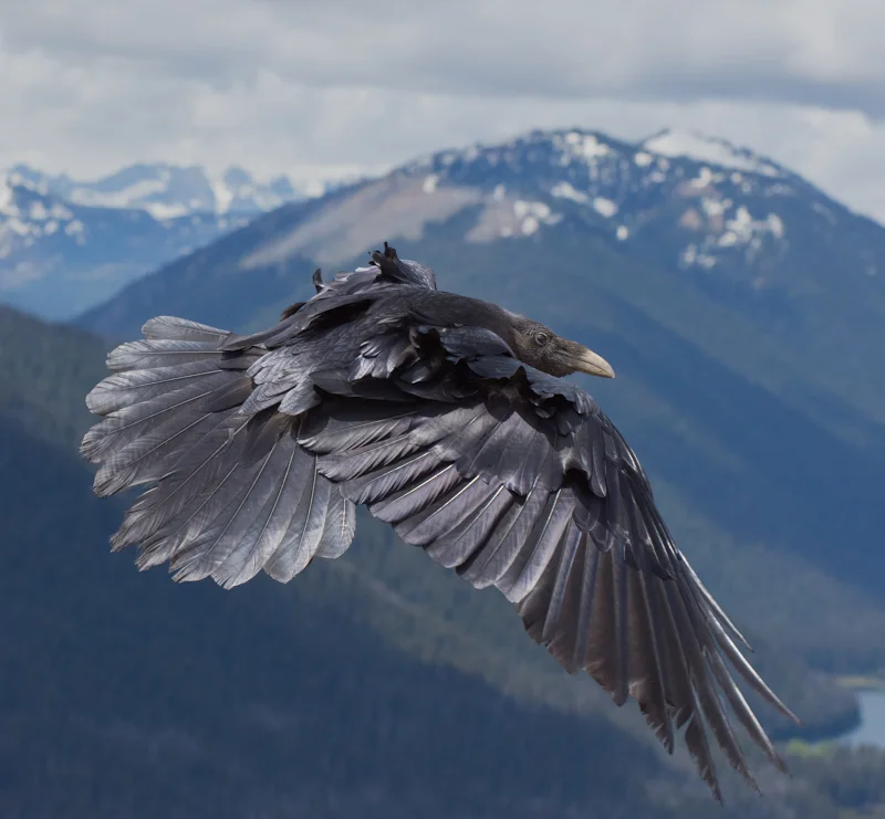 What a View — Colin Klassen